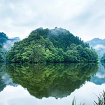 中央に森がある池